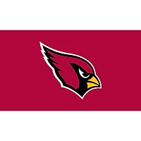 Arizona Cardinals 28" x 16" Turf Mat