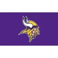 Minnesota Vikings 28" x 16" Turf Mat