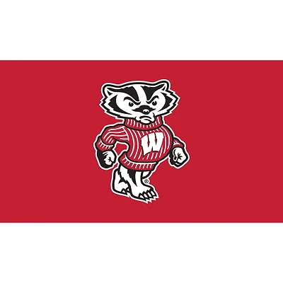 Wisconsin Badgers 28" x 16" Turf Mat