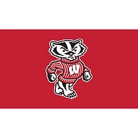 Wisconsin Badgers 28" x 16" Turf Mat