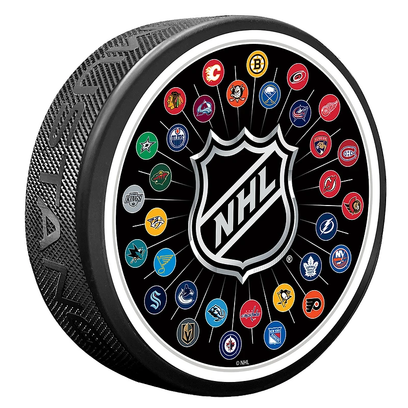 NHL Team Logos Puck