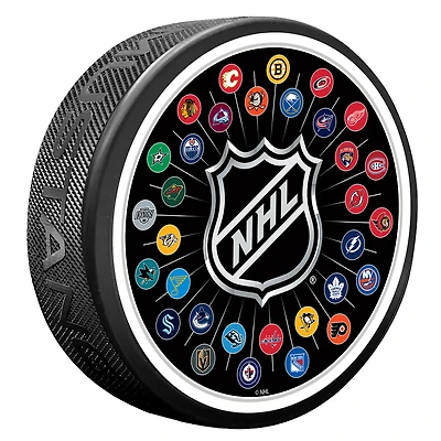 NHL Team Logos Puck