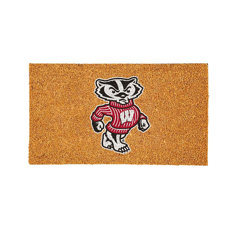Wisconsin Badgers 28" x 16" Logo Turf Mat
