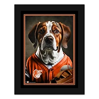 Baltimore Orioles 12'' x 16'' Framed Dog In Jersey Print