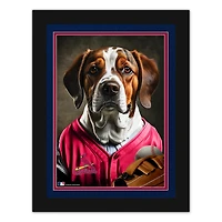 St. Louis Cardinals 12'' x 16'' Framed Dog In Jersey Print