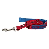 Loungefly Spider-Man  Dog Leash