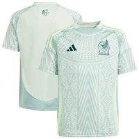 Youth adidas Green Mexico National Team 2024 Away Replica Jersey
