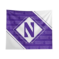 Pegasus Northwestern Wildcats 51" x 60" Diamond Boxed Wall Tapestry