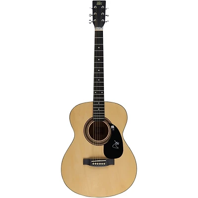 Trey Anastasio Phish Autographed Acoustic Guitar - Beckett Authentic - Signed in White Ink