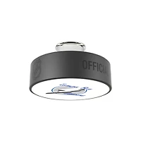 Tampa Bay Lightning Retro Logo Hockey Puck Light