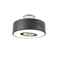 Anaheim Ducks Alternate Logo Hockey Puck Light