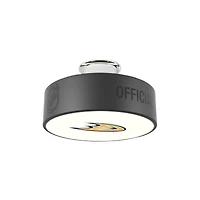 Anaheim Ducks Primary Logo Hockey Puck Light
