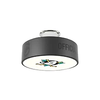 Anaheim Ducks Retro Logo Hockey Puck Light
