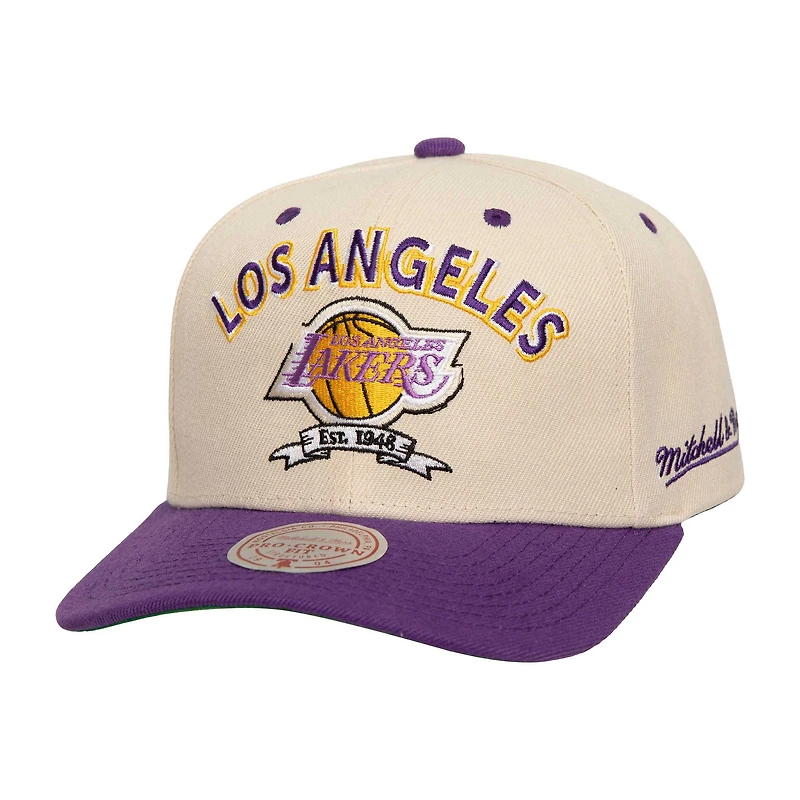 Men's Mitchell & Ness Cream/Purple Los Angeles Lakers 17x NBA Champions Soul Legacy Defined Snapback Hat