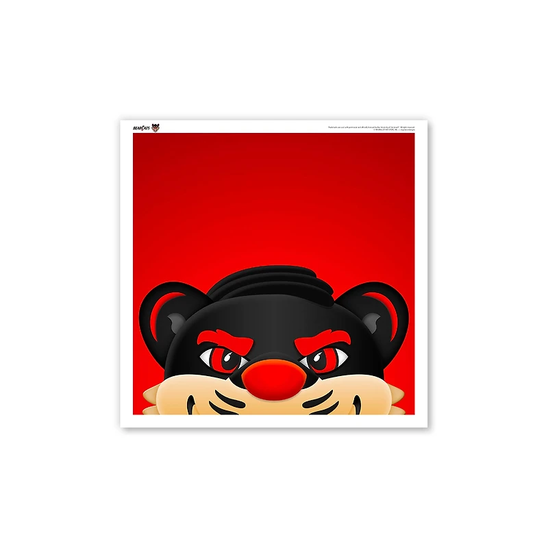 Cincinnati Bearcats 12" x 12" Mascot Square Poster Print