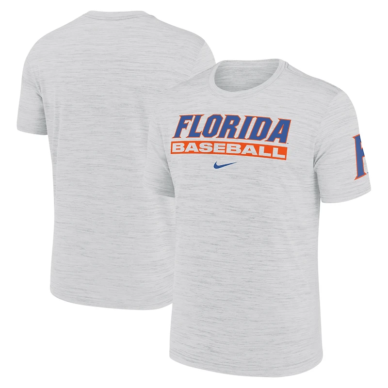 Men's Nike Ash Florida Gators Velocity Baseball Wordmark Stack Dri-FIT T-Shirt