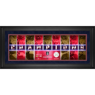 Florida Panthers 2024 Stanley Cup Champions Framed 10" x 30" Champions Panoramic with a Piece of Game-Used Net - Limited Edition of 300