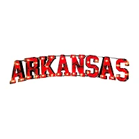 Imperial Arkansas Razorbacks Logo Lighted Recycled Metal Sign