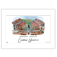 Clemson Tigers 11" x 14" Matte University Wall Art
