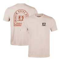 Men's Levelwear Khaki Anaheim Ducks Richmond Stained Glass T-Shirt