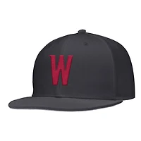 Men's Nike Anthracite Washington State Cougars  On-Field Baseball Performance Fitted Hat