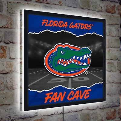 Florida Gators 23" LED Fan Cave Square-Shaped Lighted Wall Sign