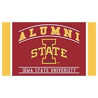 Iowa State Cyclones 28" x 16" Alumni Turf Door Mat