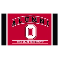 Ohio State Buckeyes 28" x 16" Alumni Turf Door Mat