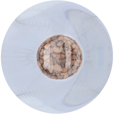 Fanatics Authentic Shohei Ohtani Los Angeles Dodgers 50/50 Club Crystal Baseball with Game-Used Dirt