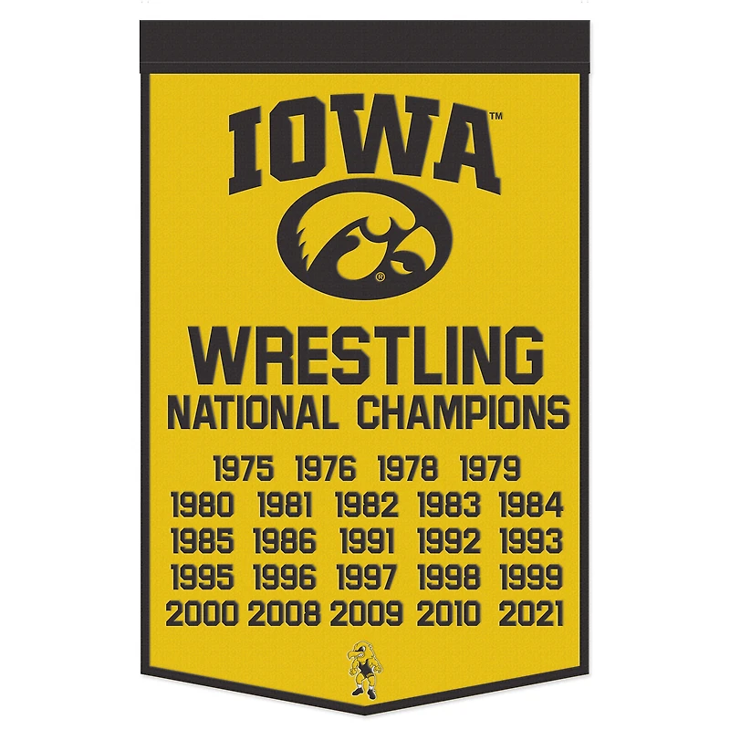 WinCraft Iowa Hawkeyes 24" x 38" Wool Championship Banner