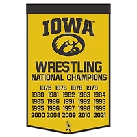 WinCraft Iowa Hawkeyes 24" x 38" Wool Championship Banner