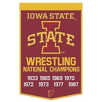 WinCraft Iowa State Cyclones 24" x 38" Wool Championship Banner
