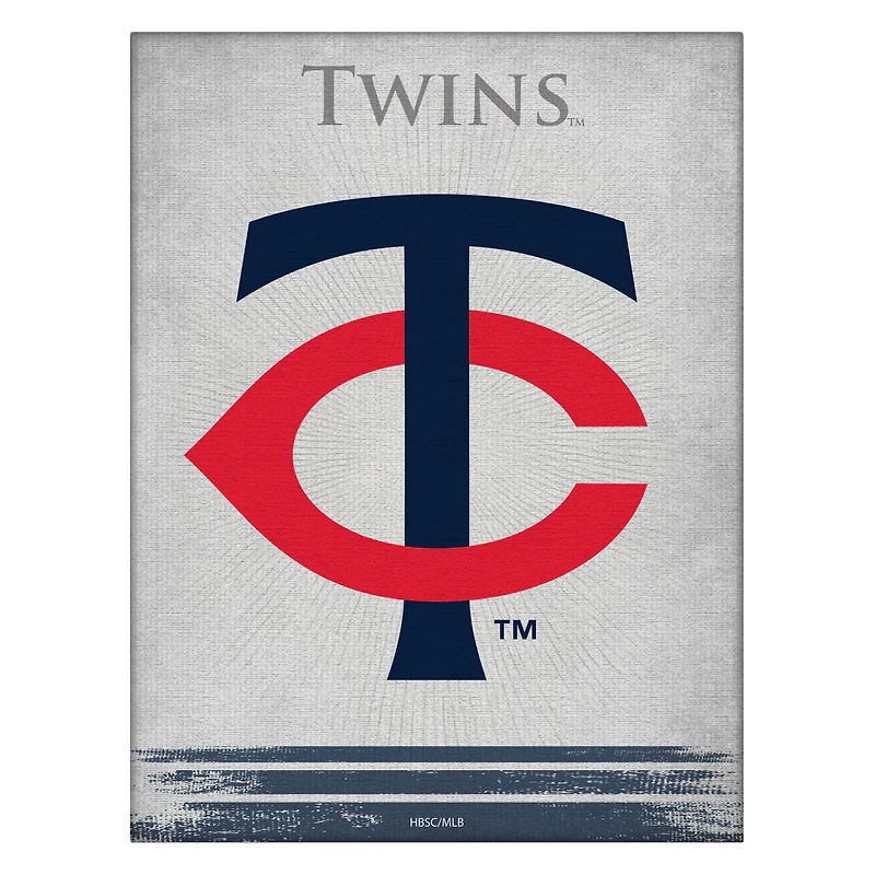 Minnesota Twins 15" x 20" Splash Canvas Wall Art