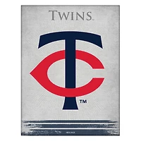Minnesota Twins 15" x 20" Splash Canvas Wall Art