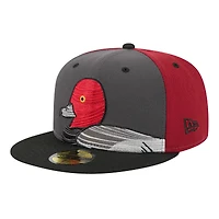 Men's New Era  Gray Aberdeen IronBirds Theme Nights 59FIFTY Fitted Hat