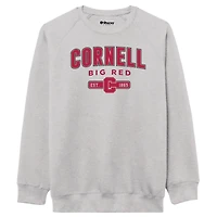 Men's League Collegiate Wear  Heather Gray Cornell Big Red Essentials 2.0 Pullover Sweatshirt