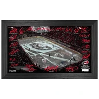 Highland Mint  Carolina Hurricanes 2024-2025 Signature Rink Print