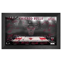 Highland Mint  Chicago Bulls Signature Court Print