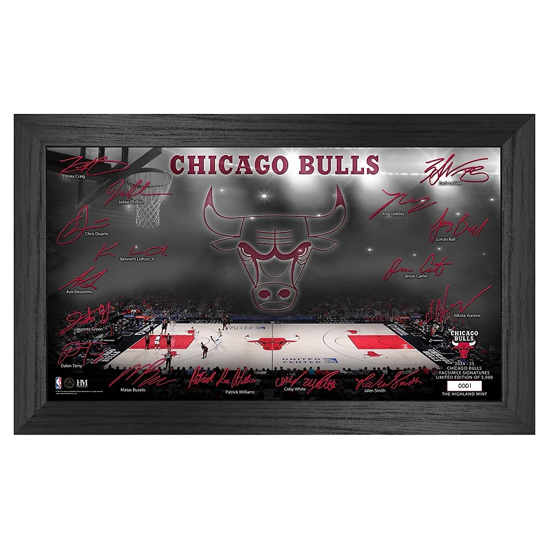Highland Mint Chicago Bulls Signature Court Print