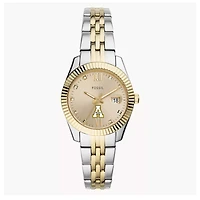 Women's Fossil Appalachian State Mountaineers Scarlette Two-Tone Stainless Steel Watch