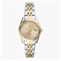 Women's Fossil Arizona State Sun Devils Scarlette Two-Tone Stainless Steel Watch