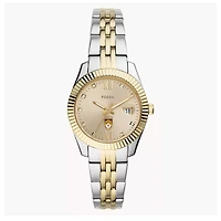 Women's Fossil Lehigh Mountain Hawks Scarlette Two-Tone Stainless Steel Watch