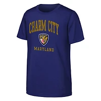 Youth Outerstuff Purple Baltimore Ravens Team Spirit T-Shirt