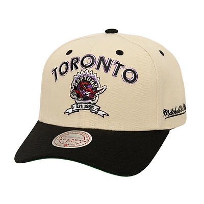 Men's Mitchell & Ness Cream/Black Toronto Raptors NBA Champions Soul Legacy Defined Pro Crown Snapback Hat