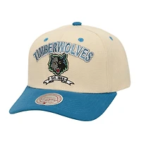 Men's Mitchell & Ness Cream/Blue Minnesota Timberwolves Soul Legacy Defined Pro Crown Snapback Hat