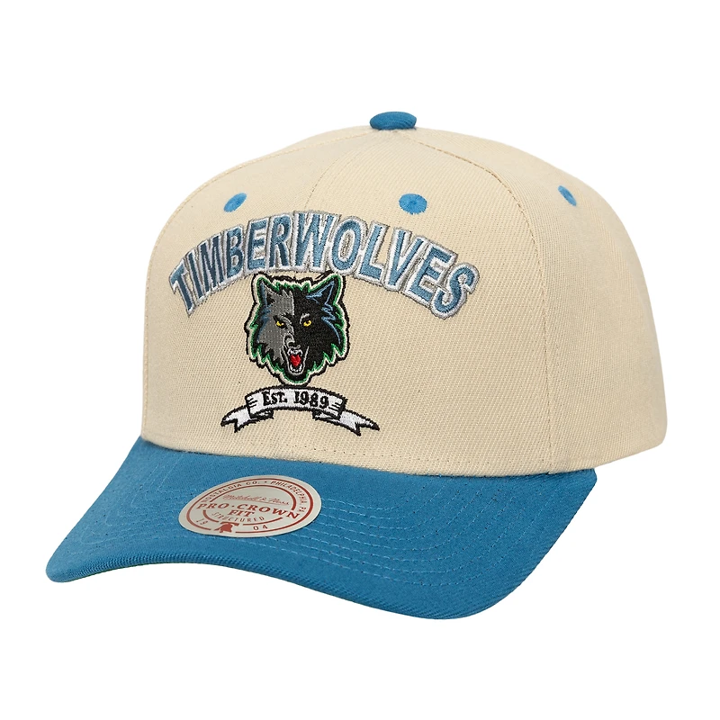 Men's Mitchell & Ness Cream/Blue Minnesota Timberwolves Soul Legacy Defined Pro Crown Snapback Hat