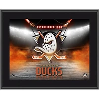 Anaheim Ducks 10.5" x 13" Horizontal Team Logo Sublimated Plaque