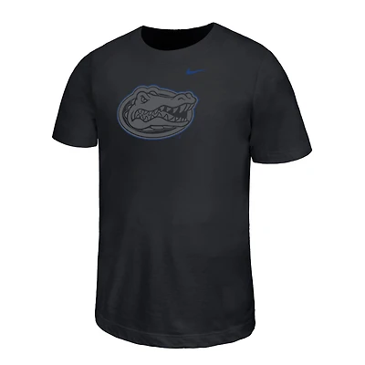 Youth Nike Black Florida Gators Legend Color Pop Performance T-Shirt