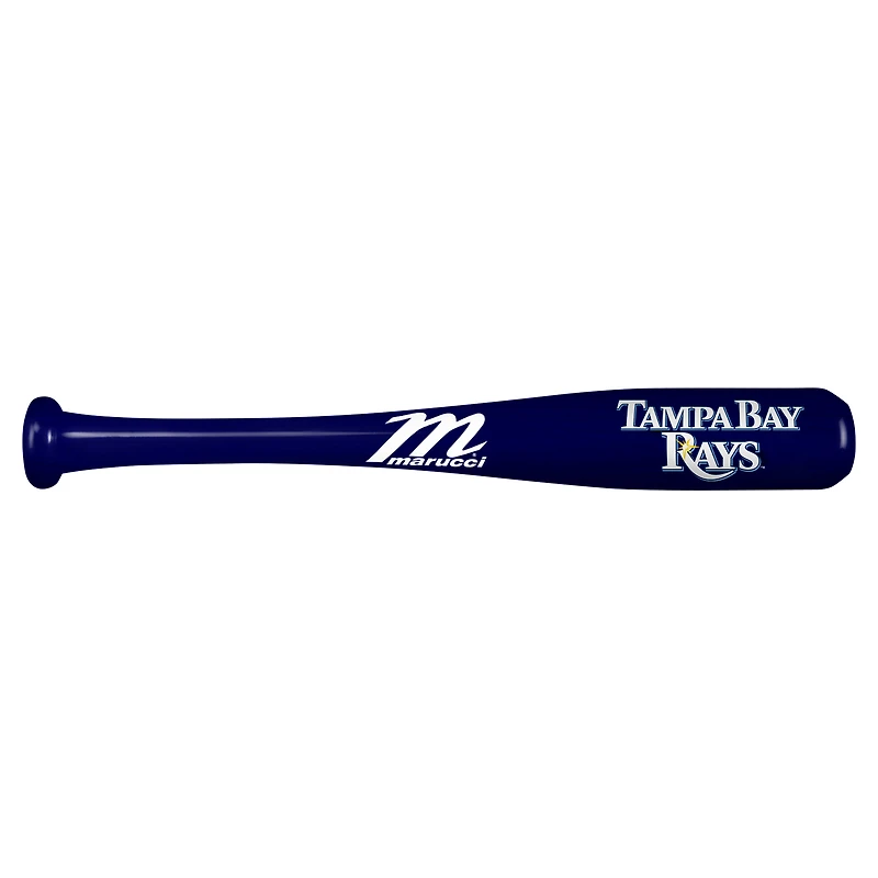 Tampa Bay Rays Mini Souvenir Bat
