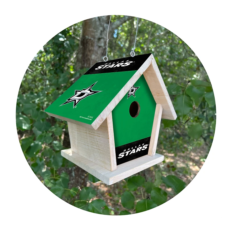 Dallas Stars Team Pride Bird House